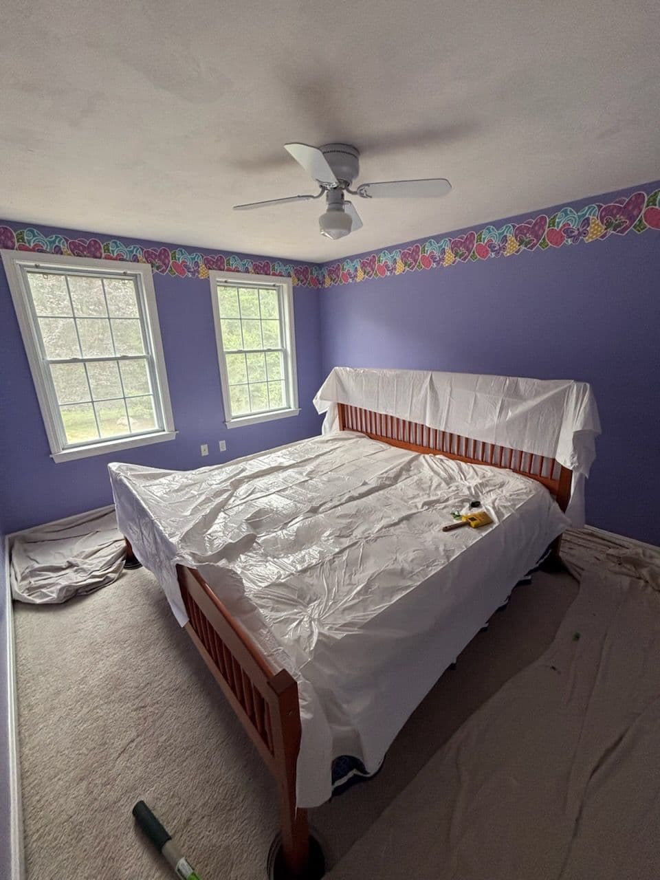 Project Stunning Bedroom Transformation by Brushour Painting image
