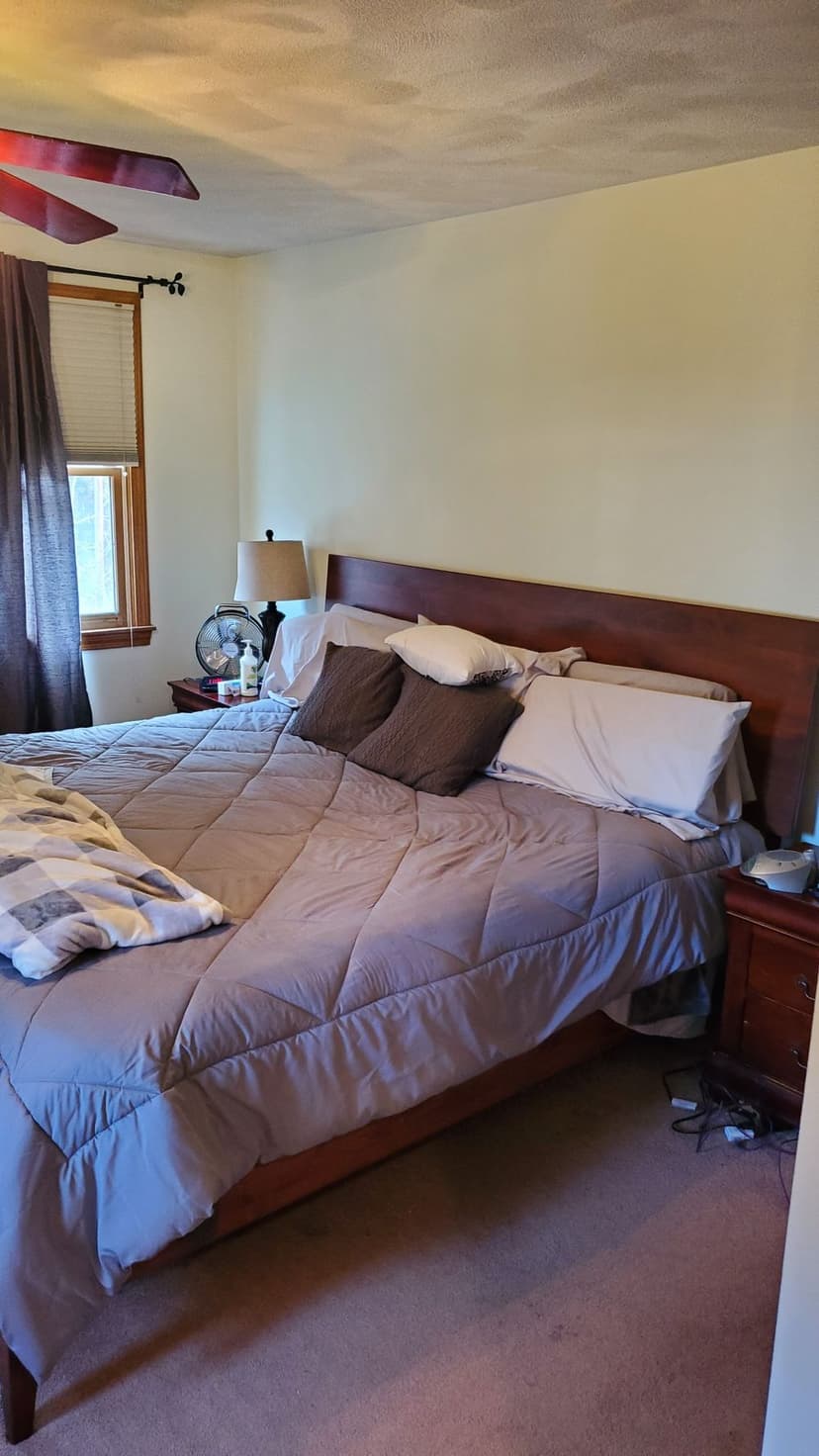 Affordable Pricing with No Compromise on Quality's image